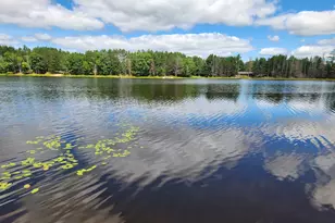 1544 Lotus Ln, Eagle River, WI 54521 - Photo 8