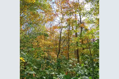 532X Caribou Tr, Lutsen Township, MN 55612 - Photo 54