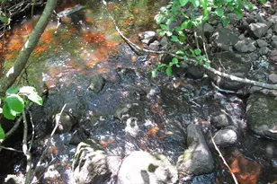 532X Caribou Trail, Lutsen, MN 55612 - Photo 48