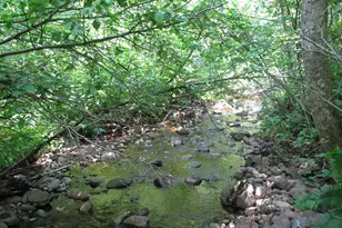 532X Caribou Trail, Lutsen, MN 55612 - Photo 50