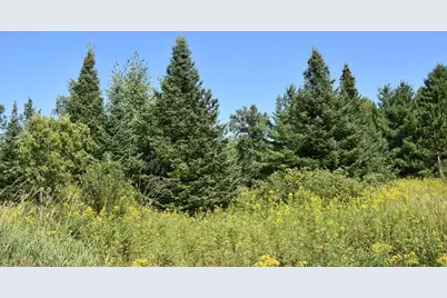 30210 Wannebo Rd, Washburn, WI 54891 - Photo 10
