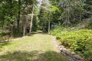 8884 Raps Rd, Cook, MN 55723 - Photo 38