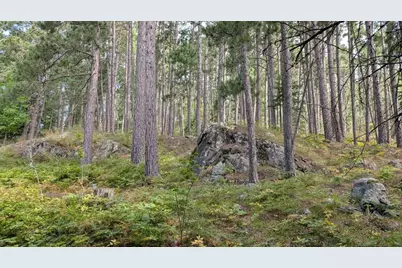 8884 Raps Rd, Cook, MN 55723 - Photo 44