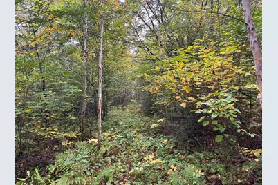 Xxx Stony River Forest Rd, Isabella, MN 55607 - Photo 10