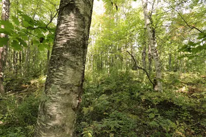 000 W 10th Ave, Washburn, WI 54891 - Photo 28