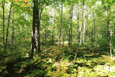 000 W 10th Ave, Washburn, WI 54891 - Photo 26