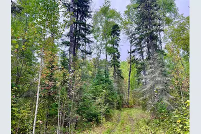 Tbd N White Iron Rd, Ely, MN 55731 - Photo 10