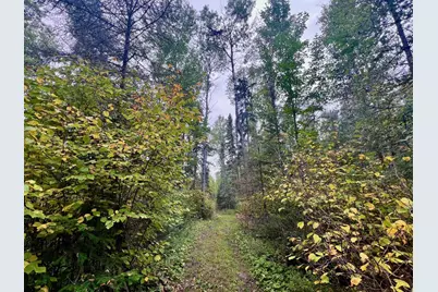 Tbd N White Iron Rd, Ely, MN 55731 - Photo 4