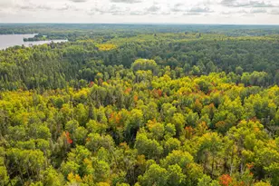 Tbd N White Iron Rd, Ely, MN 55731 - Photo 1