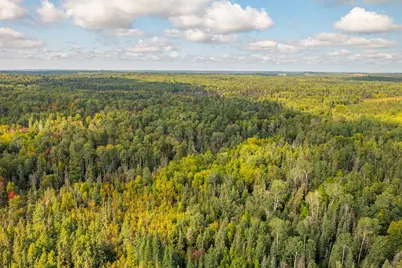 Tbd N White Iron Rd, Ely, MN 55731 - Photo 12