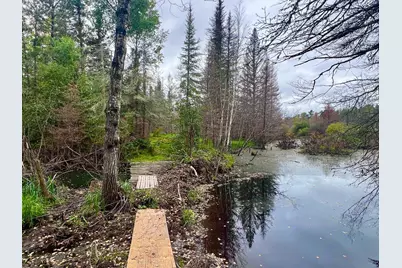 Tbd N White Iron Rd, Ely, MN 55731 - Photo 6