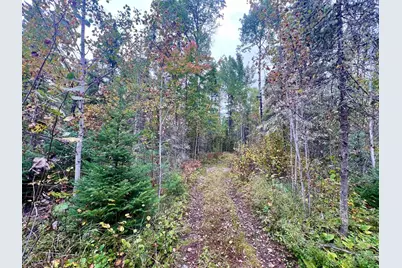 Tbd N White Iron Rd, Ely, MN 55731 - Photo 8