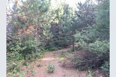 10350 Victor Lake Rd, Isabella, MN 55607 - Photo 36