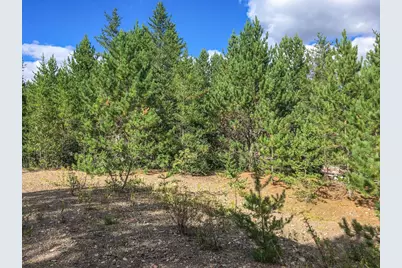 10350 Victor Lake Rd, Isabella, MN 55607 - Photo 30