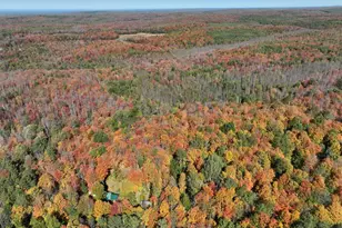 77942 County Line Rd, Mellen, WI 54546 - Photo 38