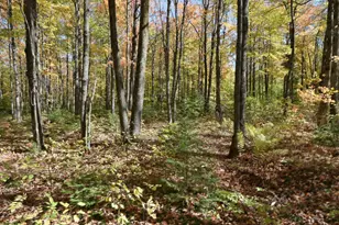 77942 County Line Rd, Mellen, WI 54546 - Photo 26