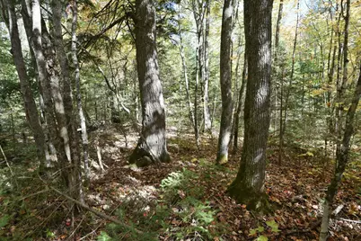 77942 County Line Rd, Mellen, WI 54546 - Photo 30