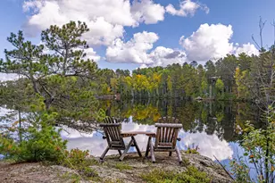 438 Buck View Rd, Ely, MN 55731 - Photo 82