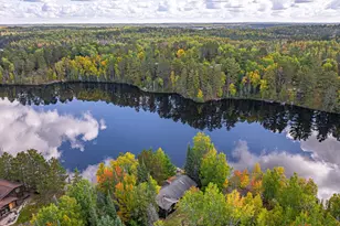 438 Buck View Rd, Ely, MN 55731 - Photo 92