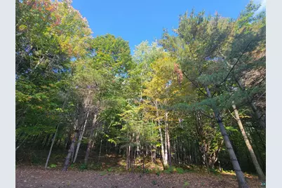 11Xxx Old Military Rd, Bayfield, WI 54814 - Photo 8