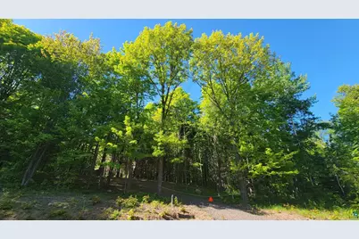 11Xxx Old Military Rd, Bayfield, WI 54814 - Photo 2