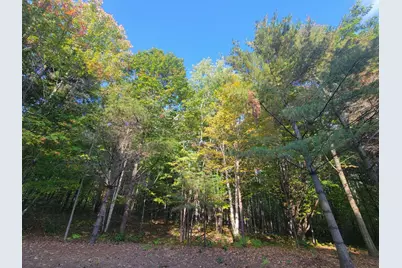 11Xxx Old Military Rd, Bayfield, WI 54814 - Photo 8