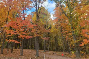 11Xxx Old Military Rd, Bayfield, WI 54814 - Photo 1