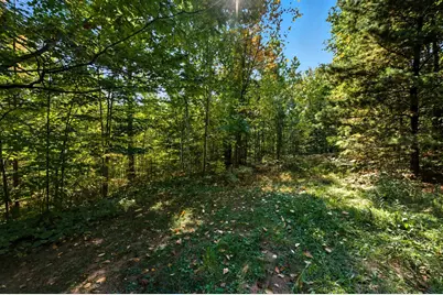 85Xxx Apple Hill Rd, Bayfield, WI 54814 - Photo 8