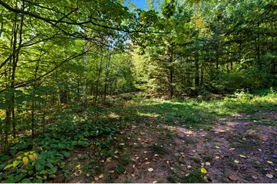 85Xxx Apple Hill Rd, Bayfield, WI 54814 - Photo 6