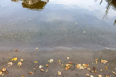 2001 A&b Bayview Dr, Tower, MN 55790 - Photo 8