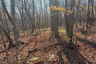 Xx W Deeryard Lake Rd, Lutsen, MN 55612 - Photo 8