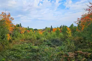 1541 Camp 20 Rd, Hovland, MN 55606 - Photo 8