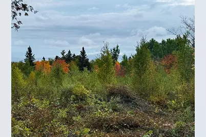 1541 Camp 20 Rd, Hovland, MN 55606 - Photo 22