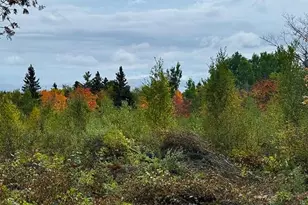 1541 Camp 20 Rd, Hovland, MN 55606 - Photo 22