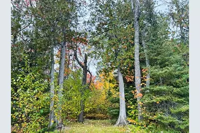 1541 Camp 20 Rd, Hovland, MN 55606 - Photo 6