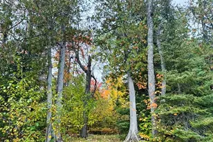 1541 Camp 20 Rd, Hovland, MN 55606 - Photo 6