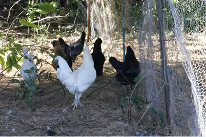 39142 North York Rd, High Bridge, WI 54846 - Photo 64