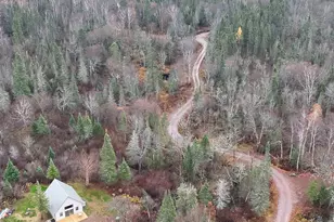 4571 Forest Rd 609, Finland, MN 55603 - Photo 4