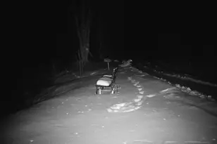 4571 Forest Rd 609, Finland, MN 55603 - Photo 34