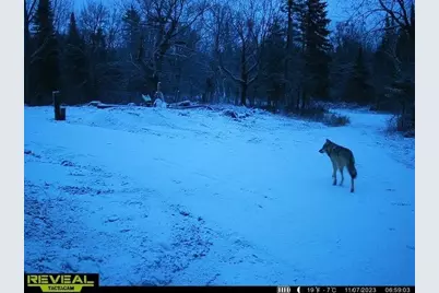 4571 Forest Rd 609, Finland, MN 55603 - Photo 26