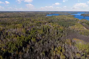 1365 S White Iron Rd, Ely, MN 55731 - Photo 78