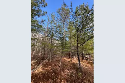 Tbd Wilderness Way Road, Cook, MN 55723 - Photo 16