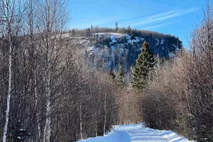 118 Rollins Ridge, Tofte, MN 55615 - Photo 4