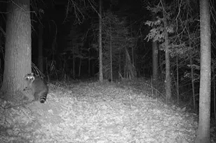 6692 County Rd C, South Range, WI 54874 - Photo 30