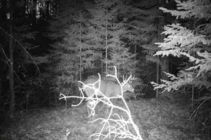 6692 County Rd C, South Range, WI 54874 - Photo 28