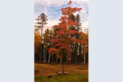 1346 Bear Head State Park Rd, Ely, MN 55731 - Photo 34