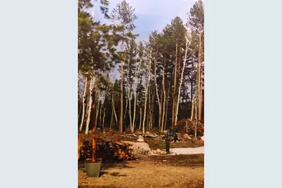 1346 Bear Head State Park Rd, Ely, MN 55731 - Photo 36