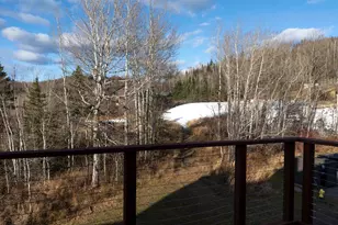 111 Bridge Run Ln, Lutsen, MN 55612 - Photo 34