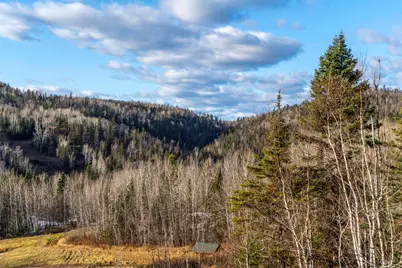 111 Bridge Run Ln #111, Lutsen, MN 55612 - Photo 36