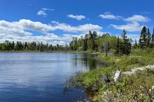 Xxxx Murray Forest Rd, Ely, MN 55731 - Photo 1